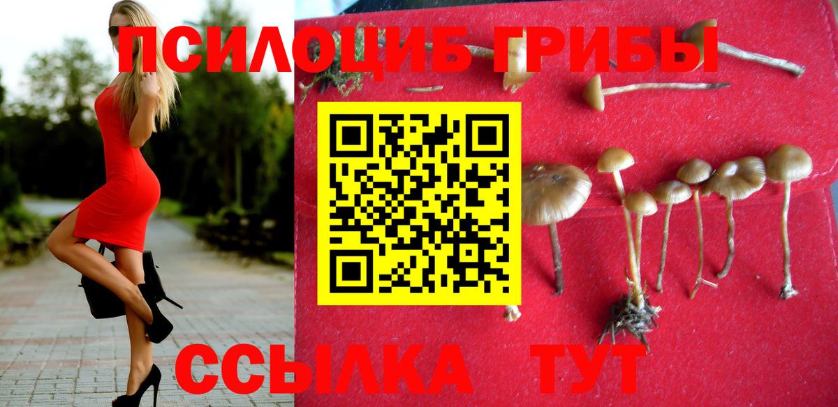 Галлюциногенные грибы ЛСД  Галлюциногенные грибы MAGIC MUSHROOMS  Новокузнецк  Вход с VPN 