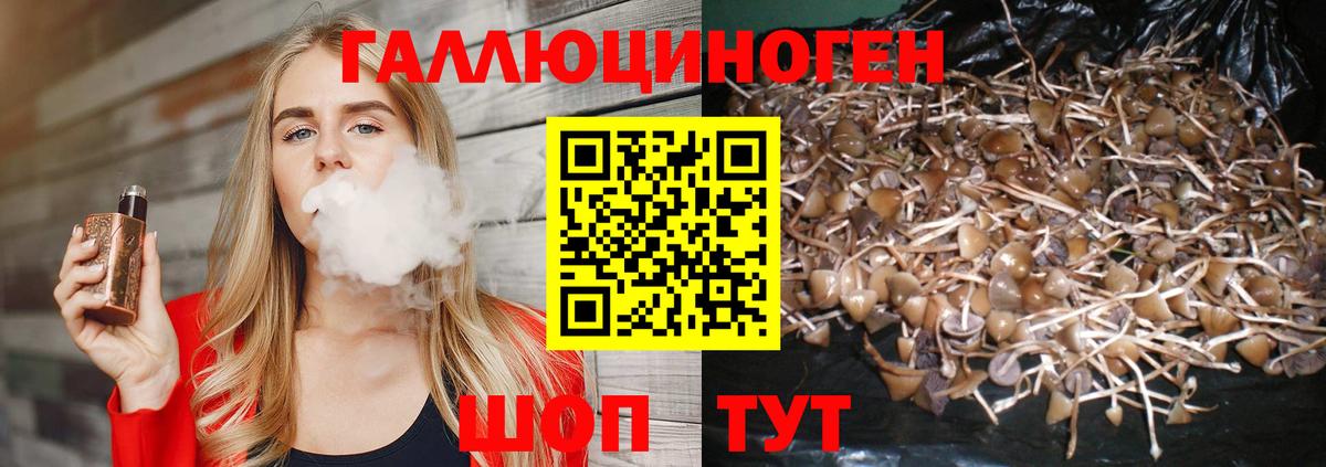 Псилоцибиновые грибы прущие грибы Новокузнецк